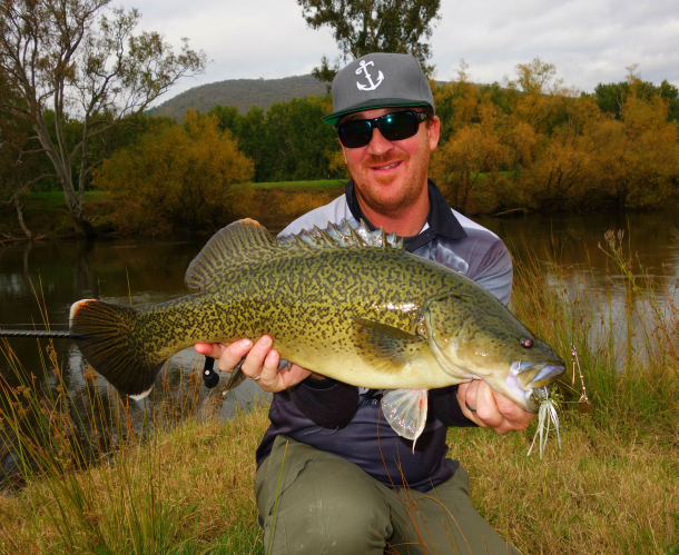 Fisho writer lands hybrid cod